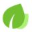 Materiality Master logo
